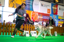 Luka Wystawa Championów 16.11.2024
